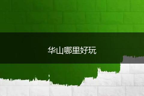 华山哪里好玩