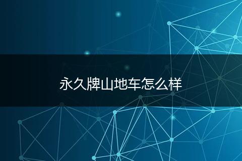 永久牌山地车怎么样
