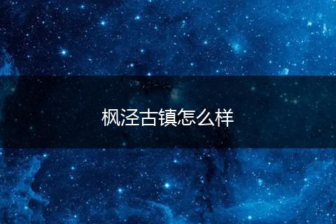 枫泾古镇怎么样