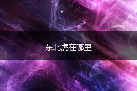 东北虎在哪里