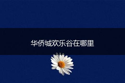 华侨城欢乐谷在哪里