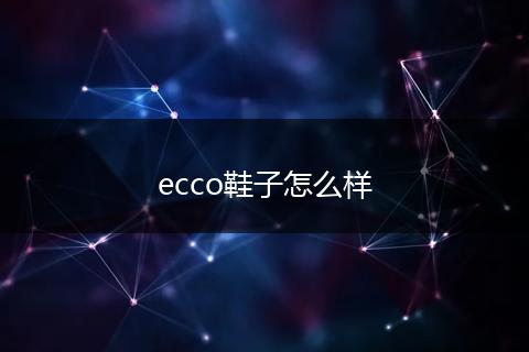 ecco鞋子怎么样