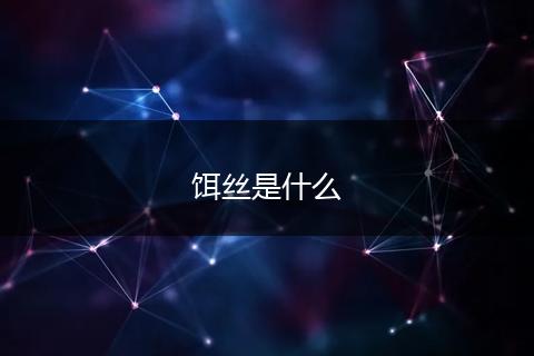 饵丝是什么