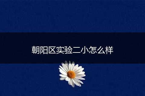 朝阳区实验二小怎么样