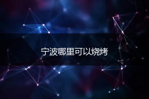 宁波哪里可以烧烤