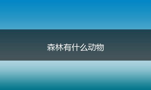 森林有什么动物