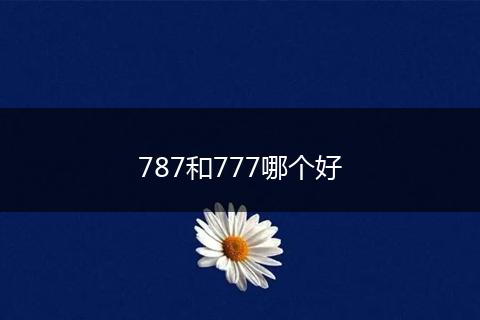 787和777哪个好