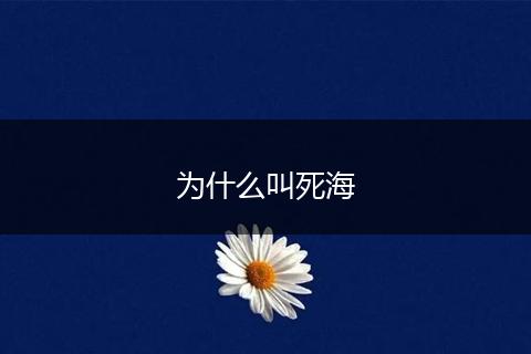 为什么叫死海