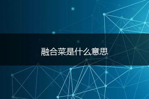 融合菜是什么意思