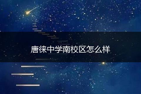 唐徕中学南校区怎么样