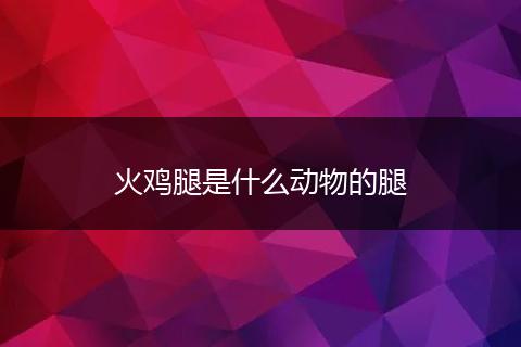 火鸡腿是什么动物的腿