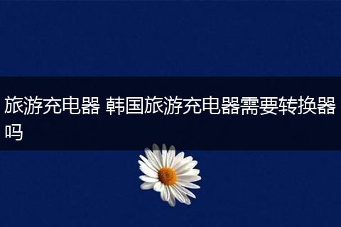 旅游充电器 韩国旅游充电器需要转换器吗