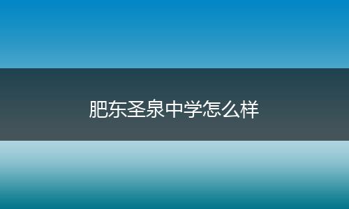 肥东圣泉中学怎么样