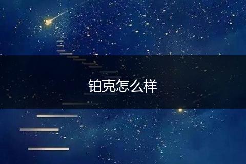 铂克怎么样