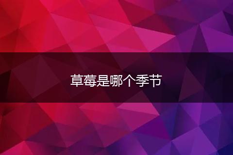 草莓是哪个季节