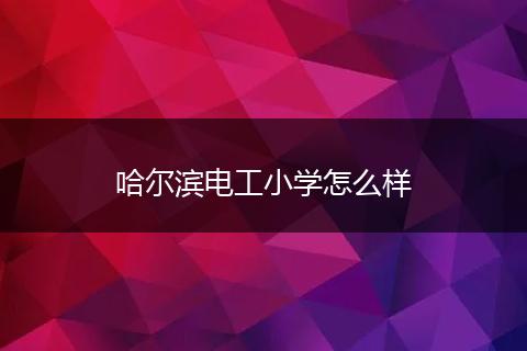 哈尔滨电工小学怎么样