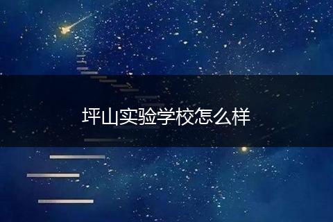 坪山实验学校怎么样