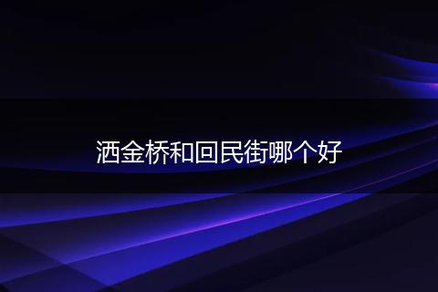 洒金桥和回民街哪个好