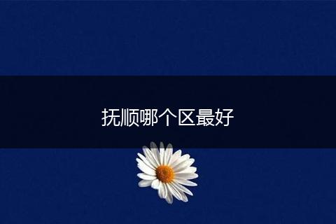 抚顺哪个区最好