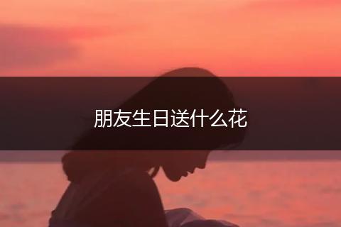 朋友生日送什么花