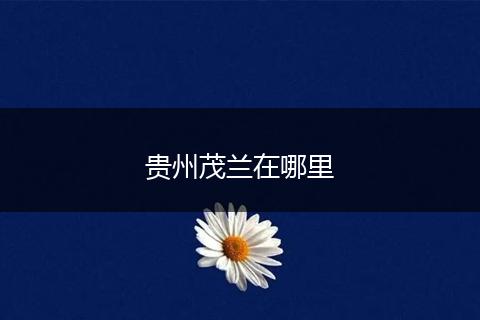 贵州茂兰在哪里