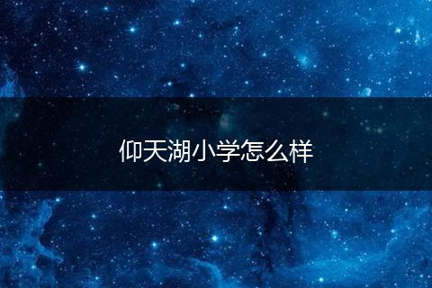 仰天湖小学怎么样