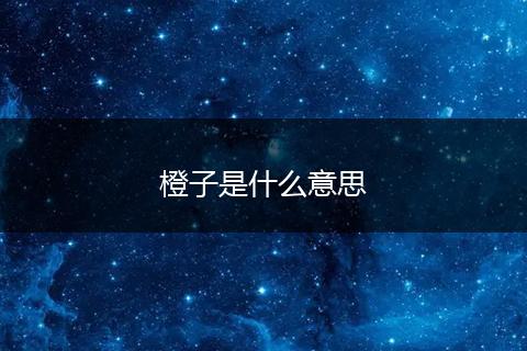 橙子是什么意思