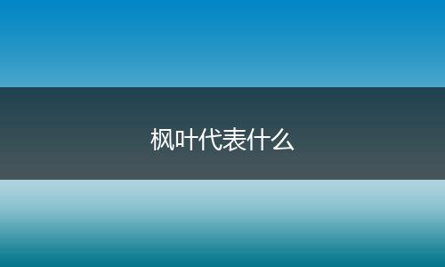 枫叶代表什么