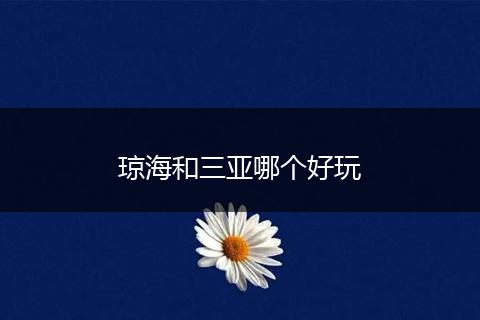 琼海和三亚哪个好玩