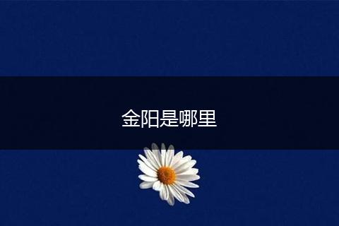 金阳是哪里