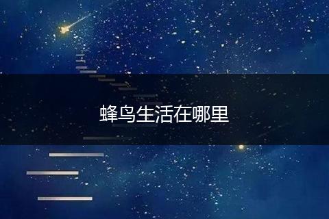 蜂鸟生活在哪里