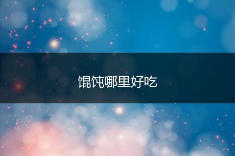 馄饨哪里好吃