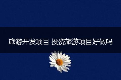 旅游开发项目 投资旅游项目好做吗