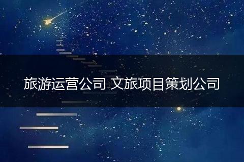 旅游运营公司 文旅项目策划公司