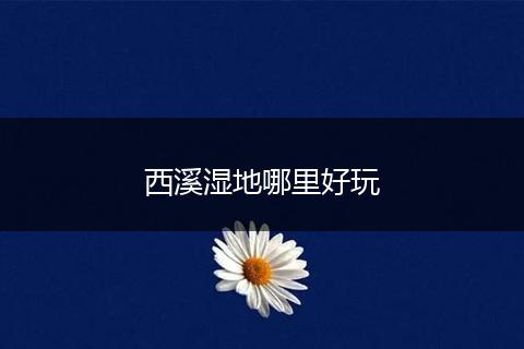 西溪湿地哪里好玩