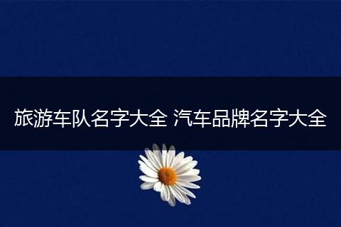 旅游车队名字大全 汽车品牌名字大全