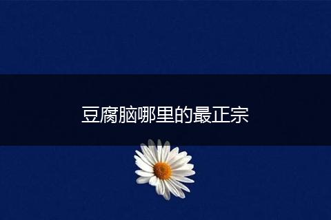 豆腐脑哪里的最正宗
