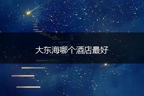 大东海哪个酒店最好