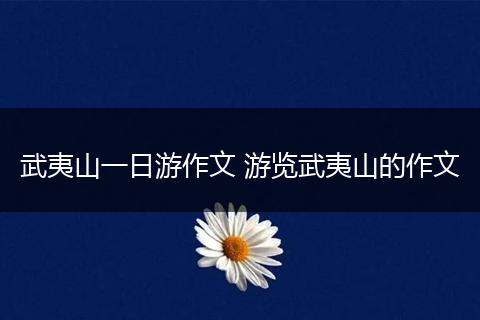 武夷山一日游作文 游览武夷山的作文