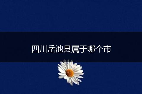 四川岳池县属于哪个市