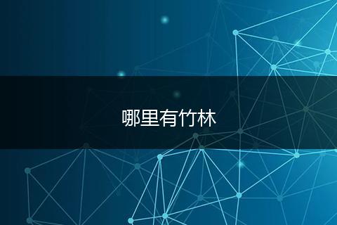 哪里有竹林