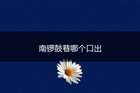 南锣鼓巷哪个口出