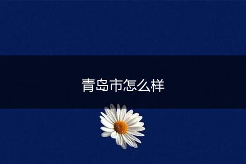 青岛市怎么样