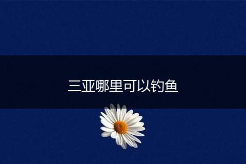 三亚哪里可以钓鱼