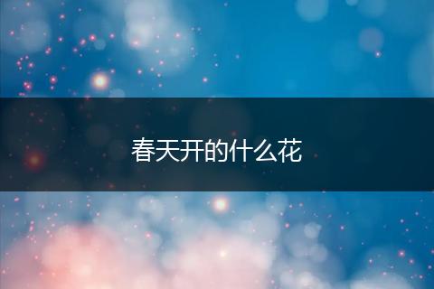 春天开的什么花