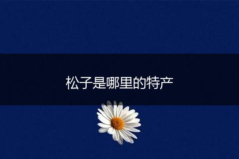 松子是哪里的特产
