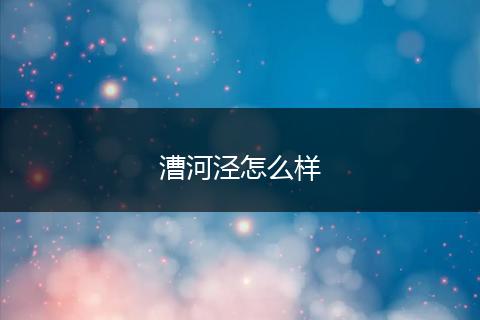漕河泾怎么样