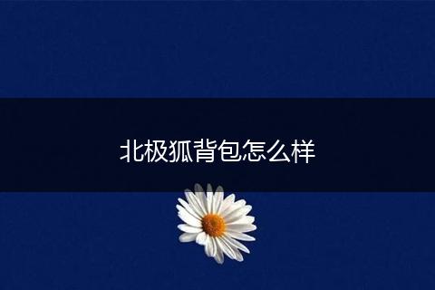北极狐背包怎么样