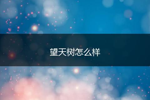 望天树怎么样