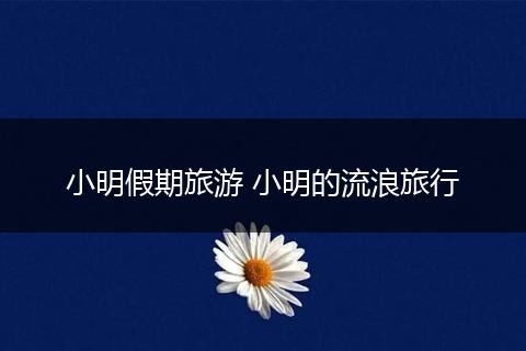 小明假期旅游 小明的流浪旅行